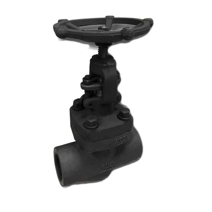 globe-socket-weld-threaded-800-edmund-valve-company-ltd