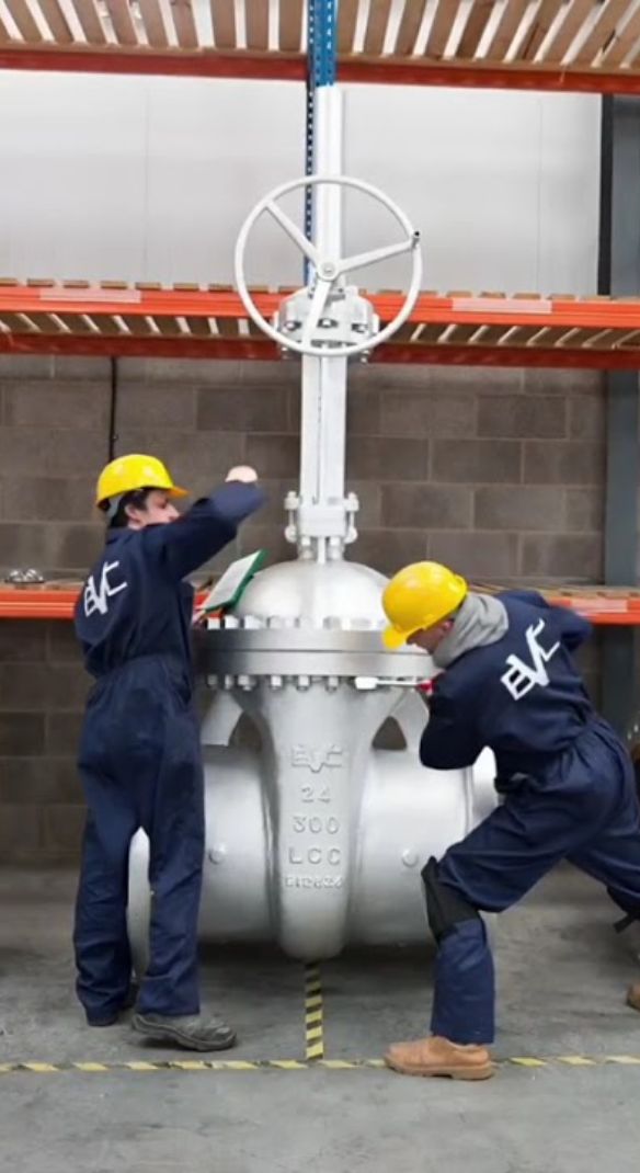 Edmund Valve Introduction